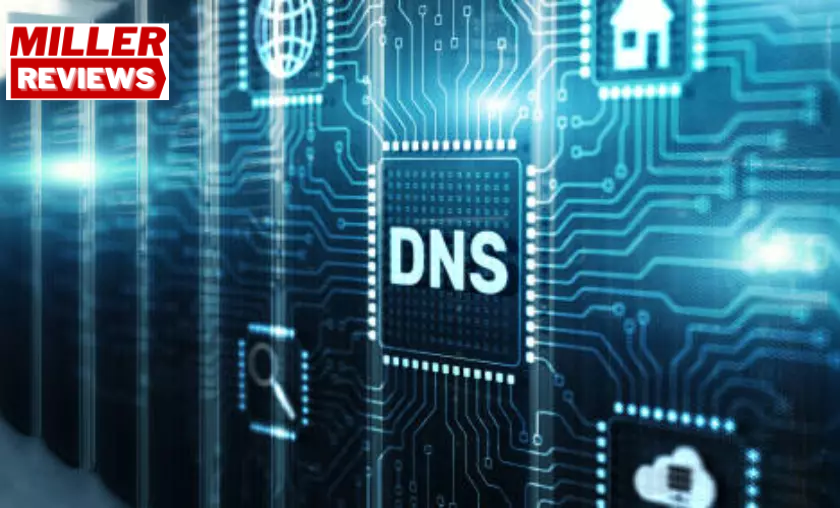 Domain Name System (DNS) - Millers Reviews