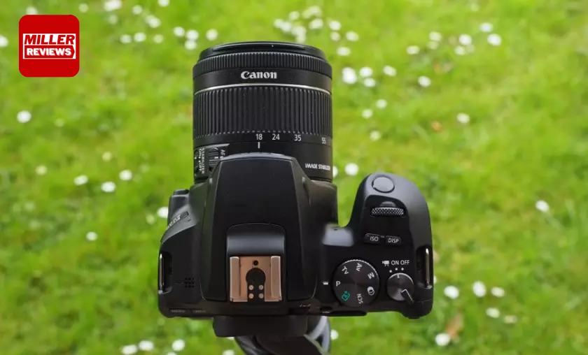 Canon EOS Rebel SL3 EOS 250D - Miller Reviews