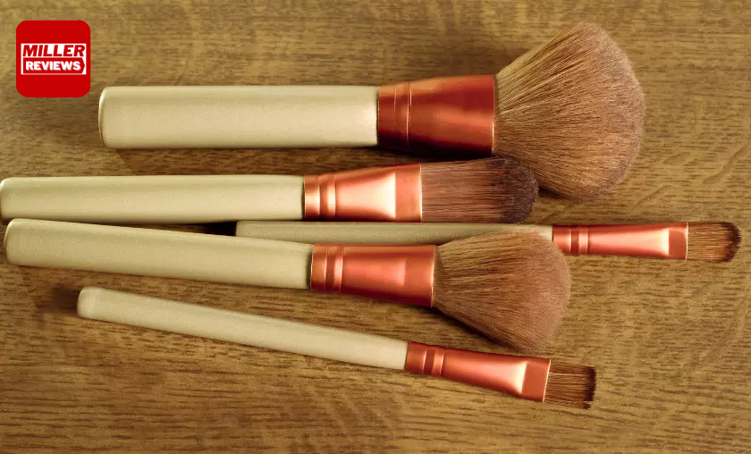 How to Select Makeup Brushes for the Best Results - Miller Reviews