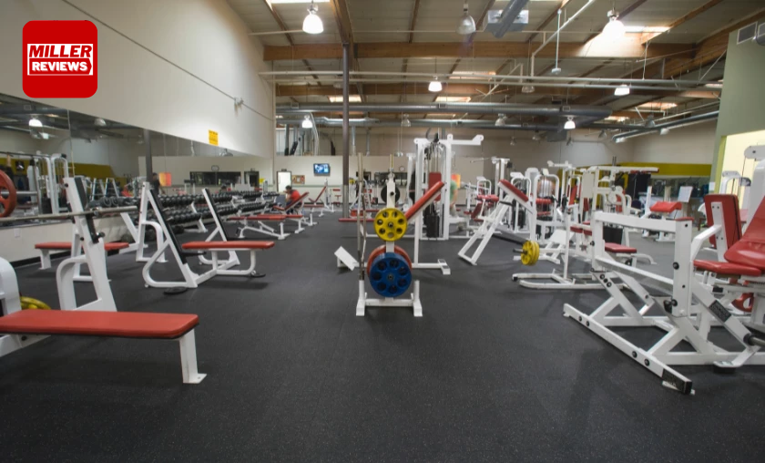 Where Can You Get Used Gym Equipment For Home - Miller Reviews